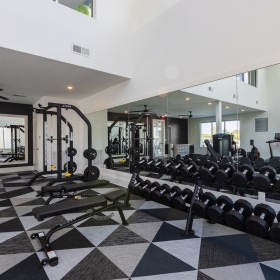 Access to resident-only features Modern gym with free weights, benches, and exercise machines.